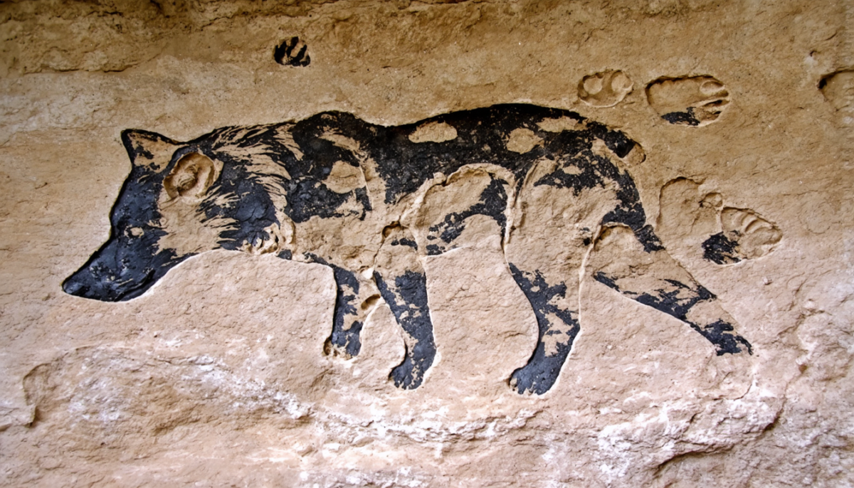découvrez comment des empreintes vieilles de 14 400 ans prouvent que le chien descend d’un protecteur préhistorique, révélant l’histoire ancienne de notre fidèle compagnon.